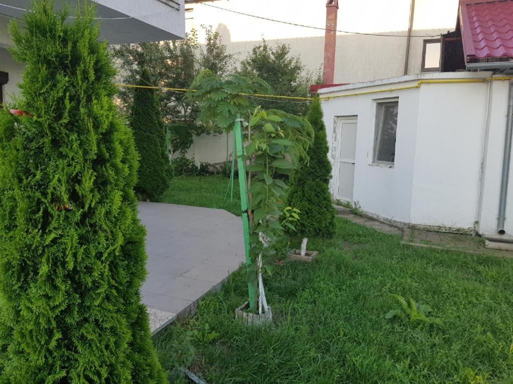 Vila Orizont เวนุส ภายนอก รูปภาพ